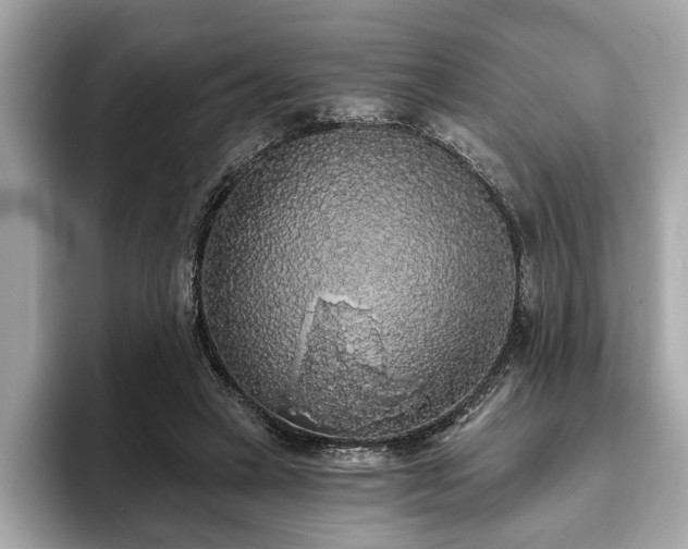 X0000093620449200710151304