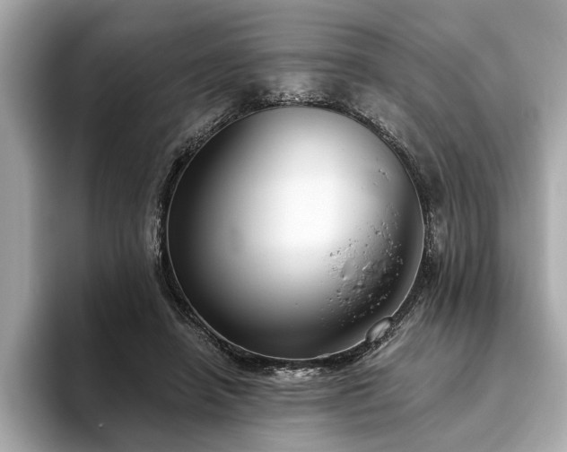 X0000093620450200710151304