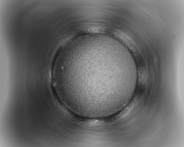 X0000093620453200710151304