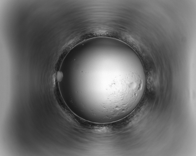 X0000093620454200710151304