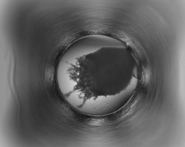 X0000093620458200710151304