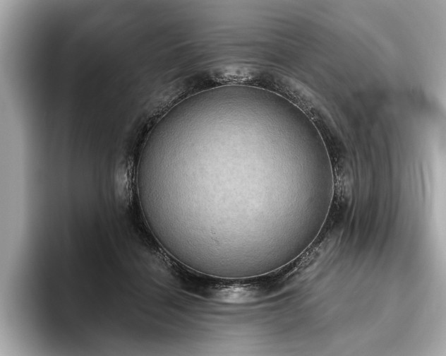 X0000093620460200710151304
