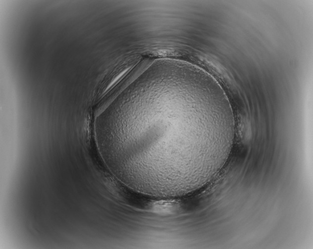 X0000093620461200710151304