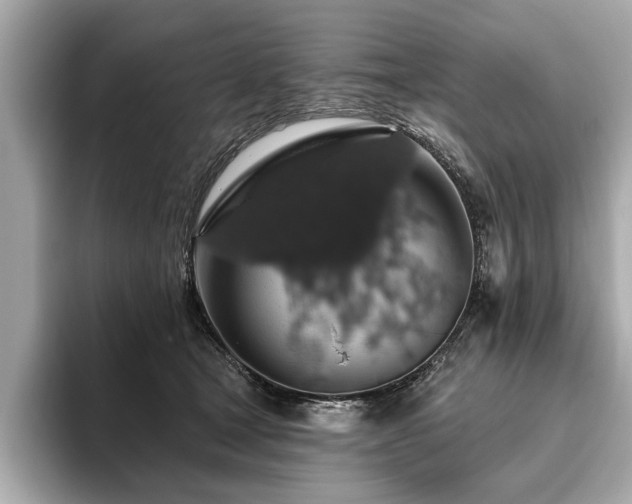 X0000093620465200710151304