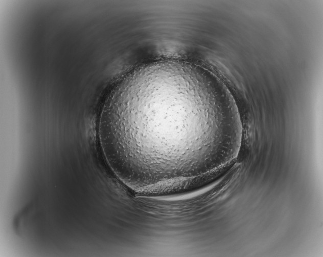 X0000093620466200710151304
