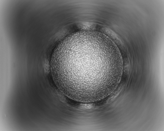 X0000093620469200710151304