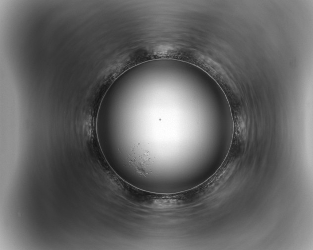 X0000093620470200710151304
