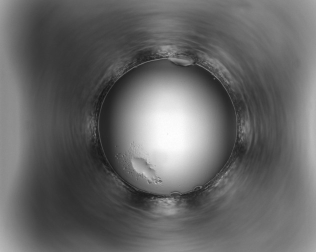 X0000093620473200710151304