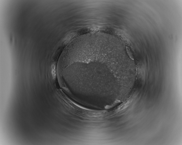 X0000093620479200710151304