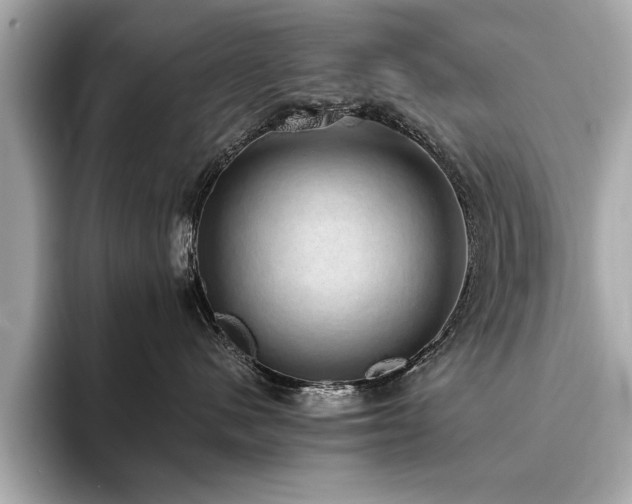 X0000093620480200710151304
