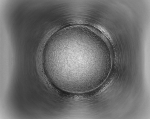 X0000093620481200710151304