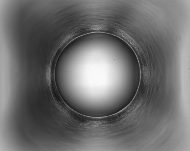 X0000093620482200710151304