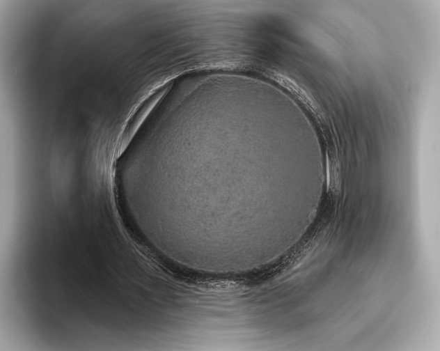 X0000093620483200710151303