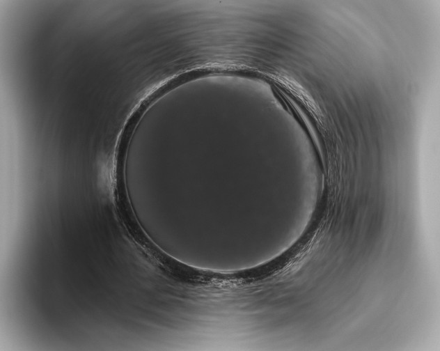X0000093620484200710151303
