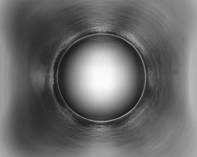 X0000093620486200710151303