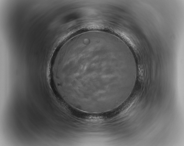 X0000093620487200710151303