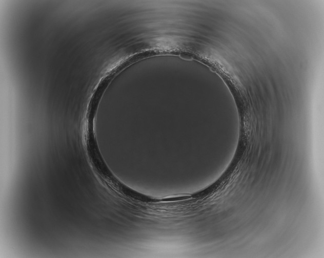 X0000093620488200710151303