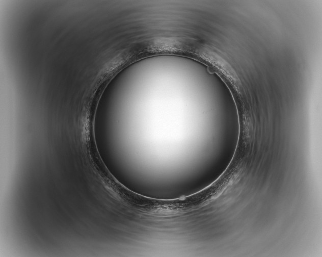 X0000093620489200710151303