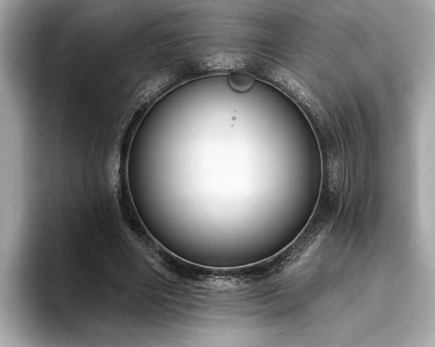 X0000093620490200710151303