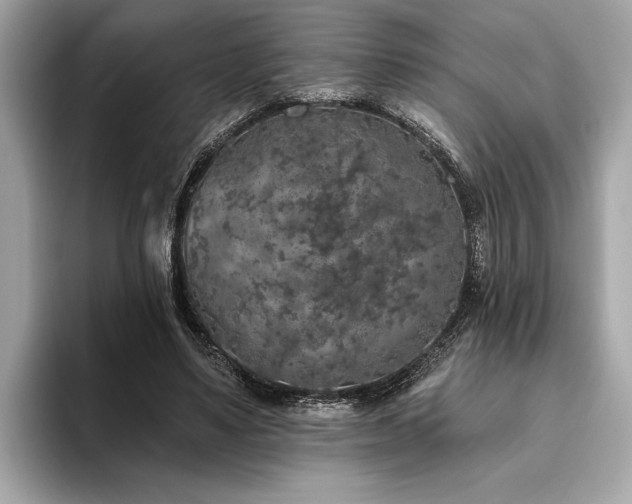 X0000093620491200710151303