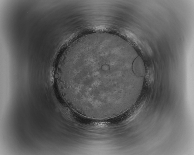 X0000093620495200710151303