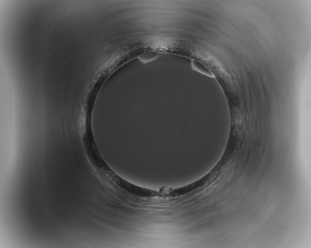 X0000093620496200710151303
