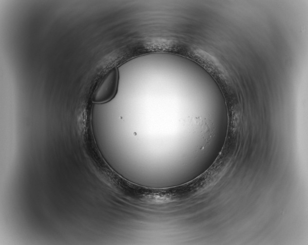 X0000093620498200710151303