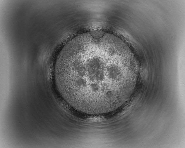 X0000093620499200710151303