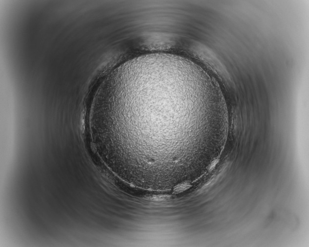 X0000093620501200710151303