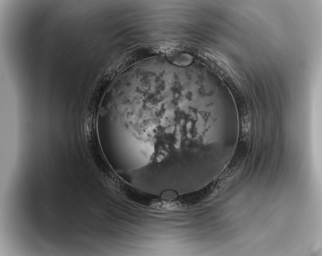 X0000093620503200710151303