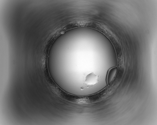 X0000093620505200710151303