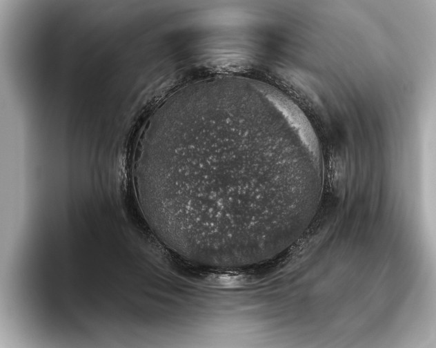X0000093620506200710151303