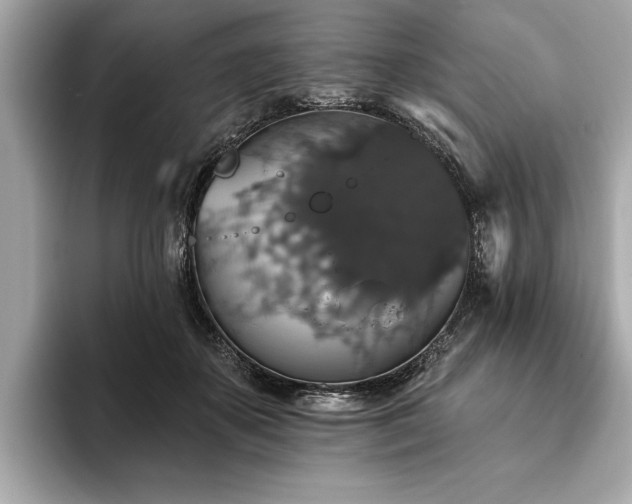 X0000093620507200710151303