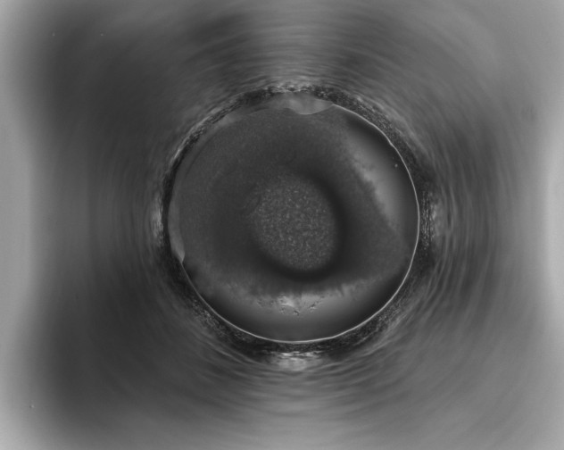 X0000093620508200710151303