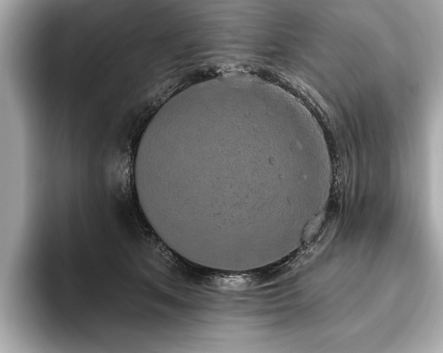 X0000093620513200710151303