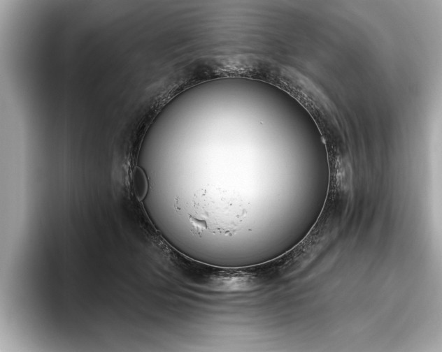 X0000093620514200710151303
