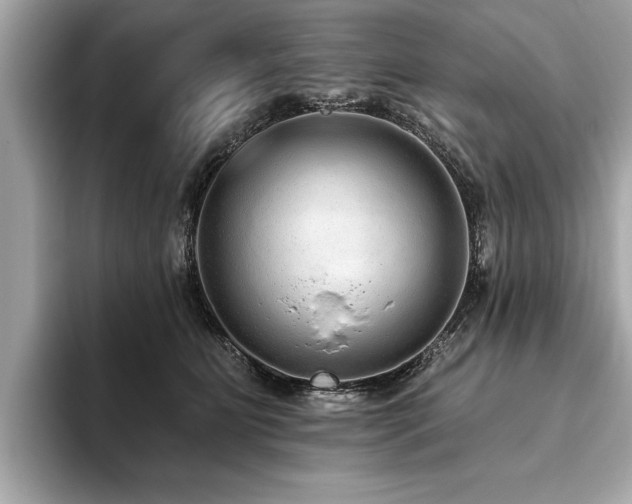 X0000093620515200710151303