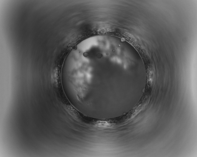 X0000093620519200710151303