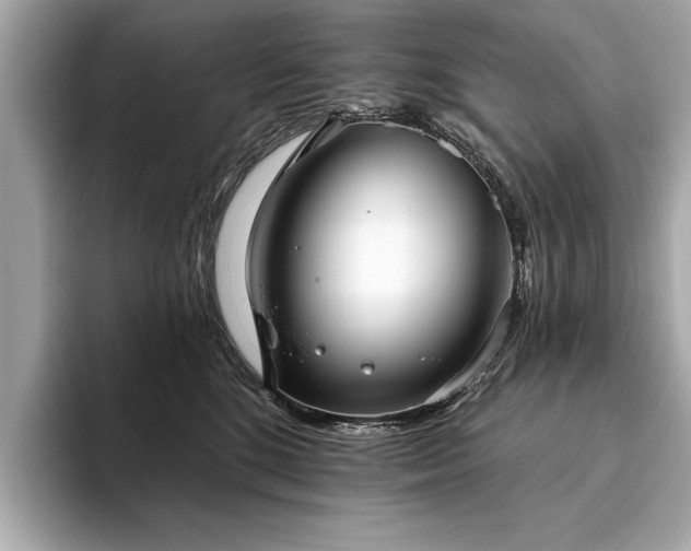 X0000093620520200710151303