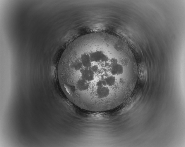 X0000093620523200710151303