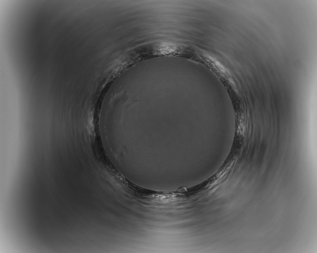 X0000093620524200710151303