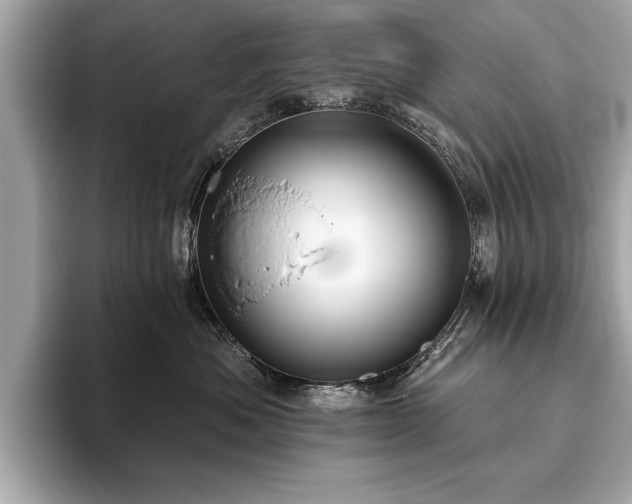 X0000093620525200710151303