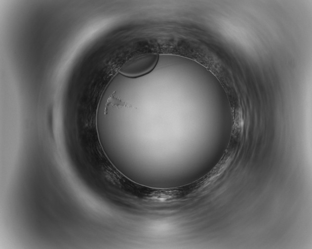 X0000093620526200710151303