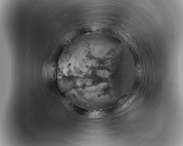 X0000093620527200710151303