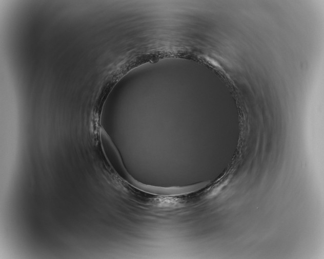 X0000093620528200710151303