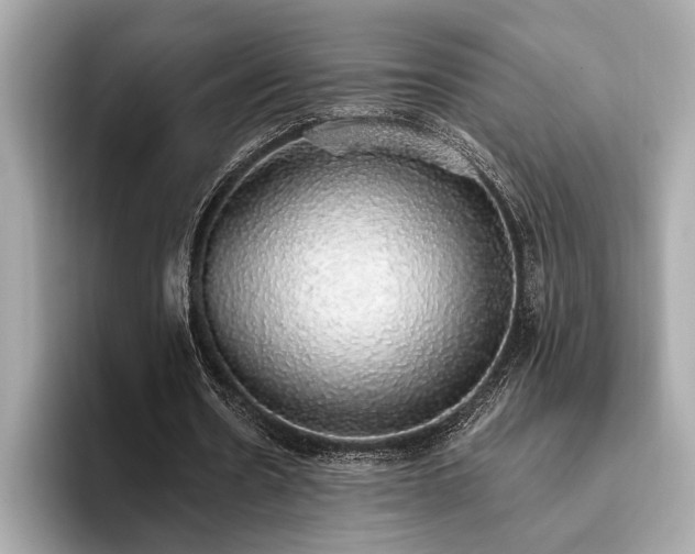 X0000093620530200710151302