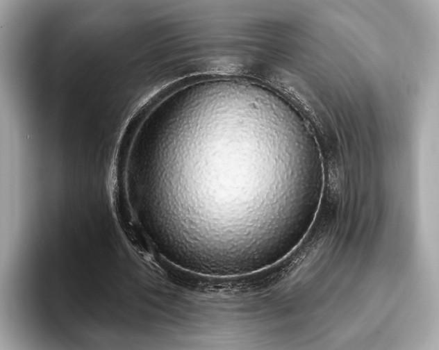 X0000093620532200710151302