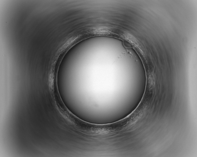 X0000093620533200710151302