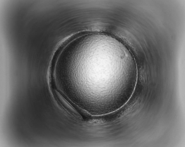 X0000093620536200710151302
