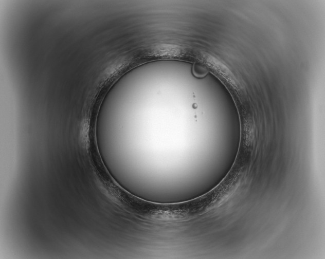 X0000093620538200710151303